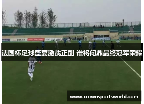 法国杯足球盛宴激战正酣 谁将问鼎最终冠军荣耀 法国杯足球盛宴激战正酣 谁将问鼎最终冠军荣耀