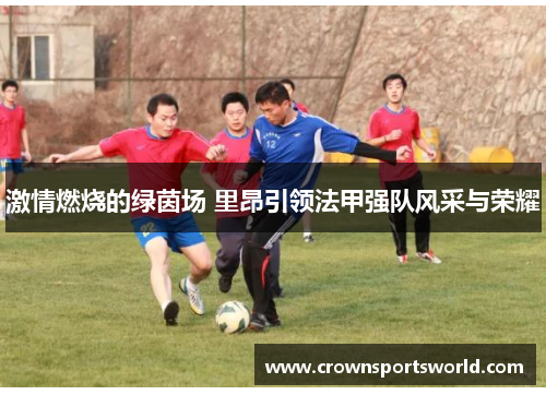 激情燃烧的绿茵场 里昂引领法甲强队风采与荣耀